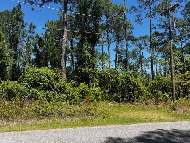 LOT1 E Nursery Rd, Santa Rosa Beach, FL 32459 - photo 3