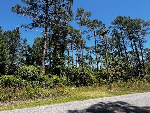LOT1 E Nursery Rd, Santa Rosa Beach, FL 32459 - photo 4