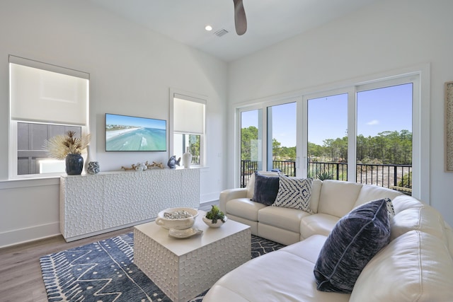 80 Sea Croft Dr, Santa Rosa Beach, FL 32459 - living room with a healthy amount of sunlight, baseboards, ceiling fan, and wood finished floors