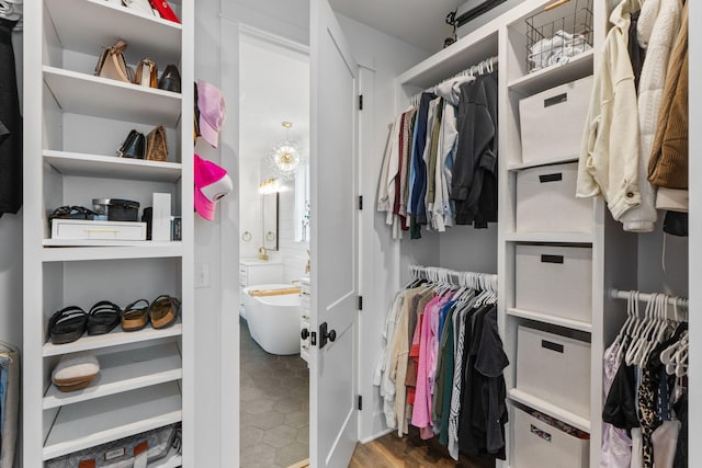 view of spacious closet