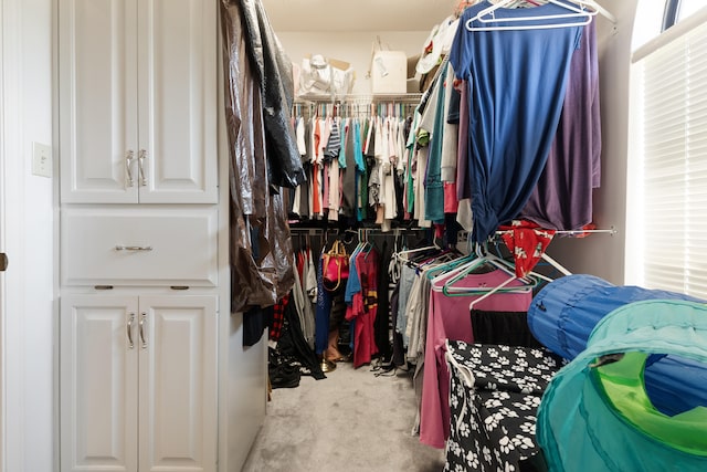 809 Main St, Destin, FL 32541 - spacious closet with carpet