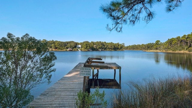 34 Herons Watch Way Unit 5101, Santa Rosa Beach, FL 32459 - photo 19