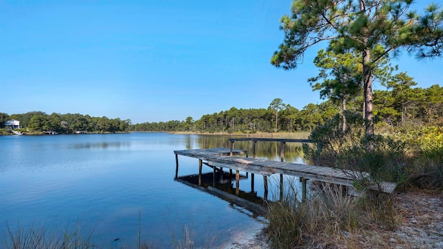 34 Herons Watch Way Unit 5101, Santa Rosa Beach, FL 32459 - photo 20