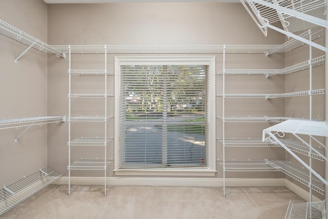 237 Matties Way, Destin, FL 32541 - spacious closet with carpet floors