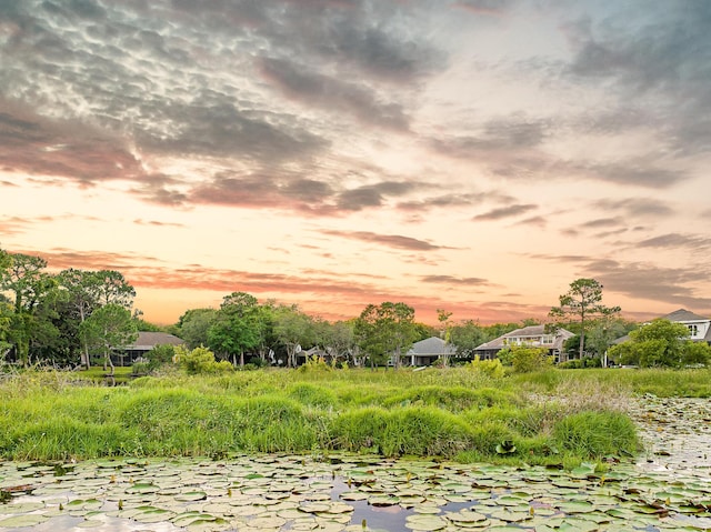 237 Matties Way, Destin, FL 32541 - view of nature at dusk