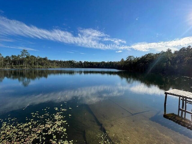 LOT15 Sunny Hills Blvd, Chipley, FL 32428 - photo 10