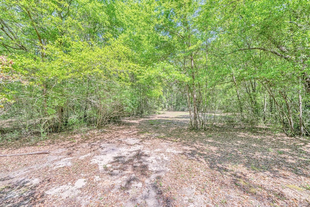 5700 Country Squire Dr, Milton, FL 32570 - view of nature featuring a wooded view