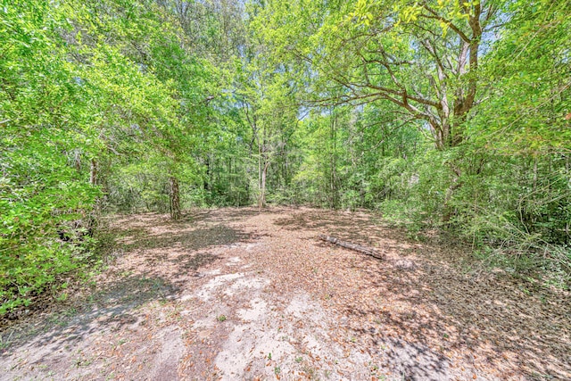 5700 Country Squire Dr, Milton, FL 32570 - view of nature featuring a forest view