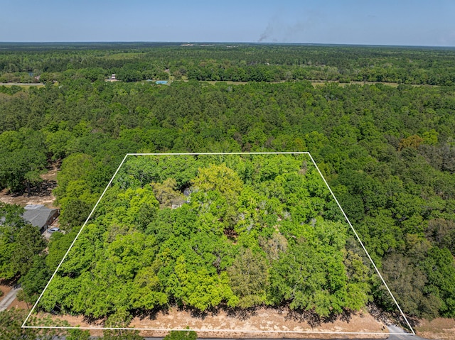 5700 Country Squire Dr, Milton, FL 32570 - bird's eye view with a wooded view