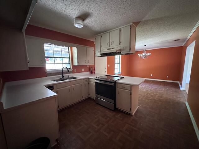 592 E Robinson Ave, Crestview, FL 32539 - kitchen with plenty of natural light, a peninsula, a sink, and stainless steel range with electric cooktop