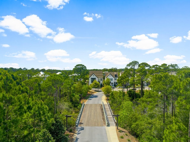 331 Ridgewalk Cir, Santa Rosa Beach, FL 32459 - view of surrounding community