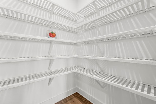 331 Ridgewalk Cir, Santa Rosa Beach, FL 32459 - view of storage area