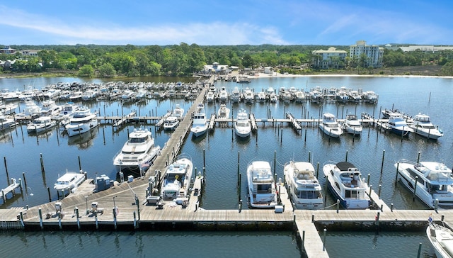 496 Linkside Dr, Miramar Beach, FL 32550 - view of dock with a water view