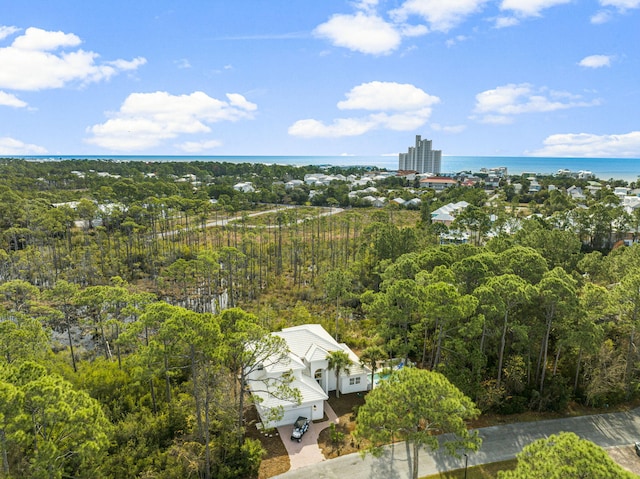 332 Somerset Bridge Rd, Santa Rosa Beach, FL 32459 - aerial view featuring a wooded view and a water view