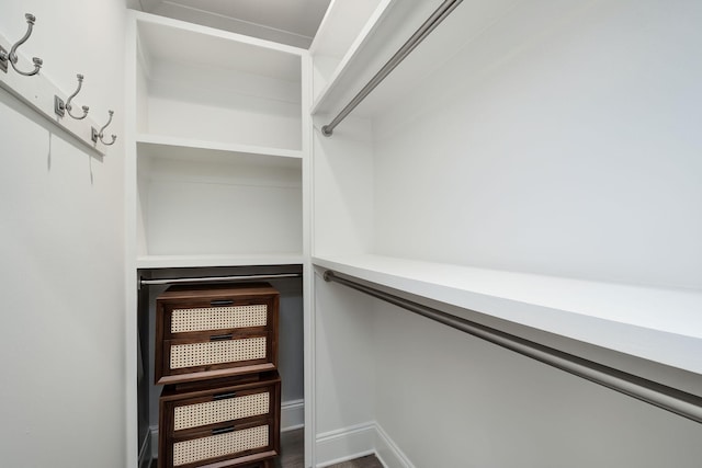 view of walk in closet