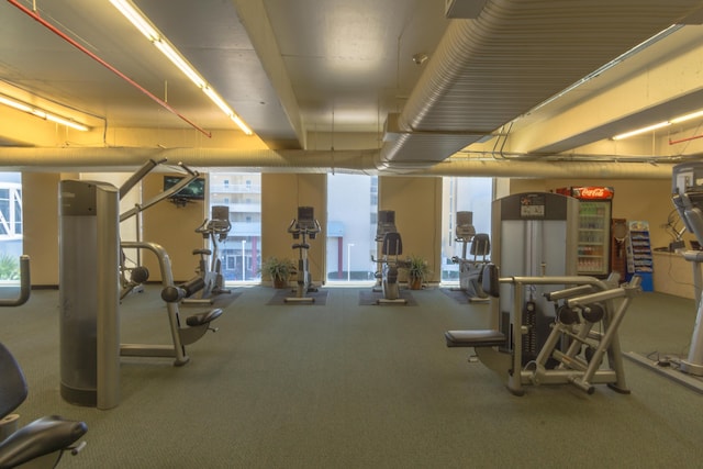gym featuring carpet and a healthy amount of sunlight