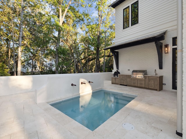 335 Churchill Oaks Dr, Santa Rosa Beach, FL 32459 - outdoor pool with a grill, a patio area, a sink, and area for grilling