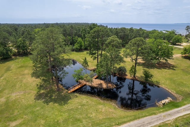 1164 Pearson Rd, Milton, FL 32571