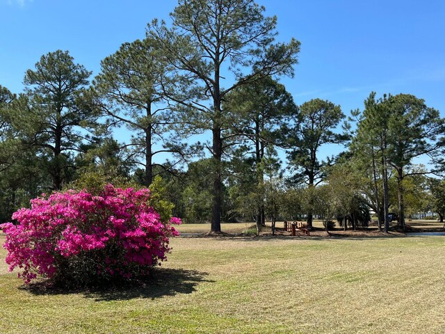 1164 Pearson Rd, Milton, FL 32571