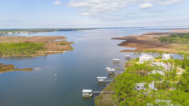 205 Mallard Ln, Santa Rosa Beach, FL 32459 - drone / aerial view with a water view