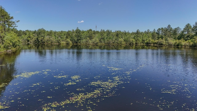 554 Magnolia Lake Dr, Defuniak Springs, FL 32433 - water view featuring a heavily wooded area