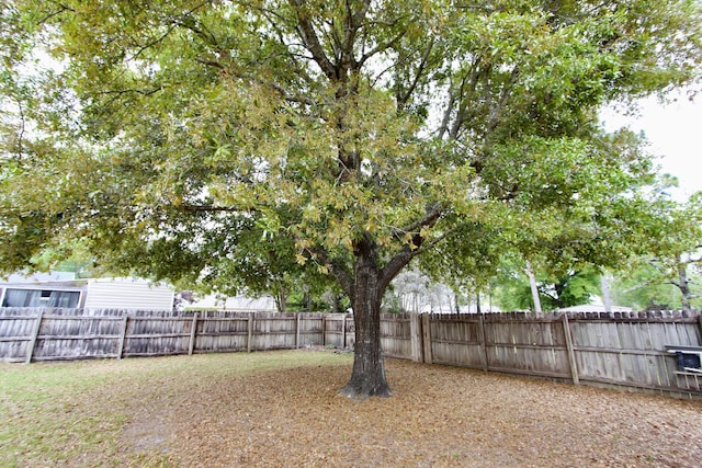 206 Secretariat Dr, Crestview, FL 32539 - view of yard featuring a fenced backyard