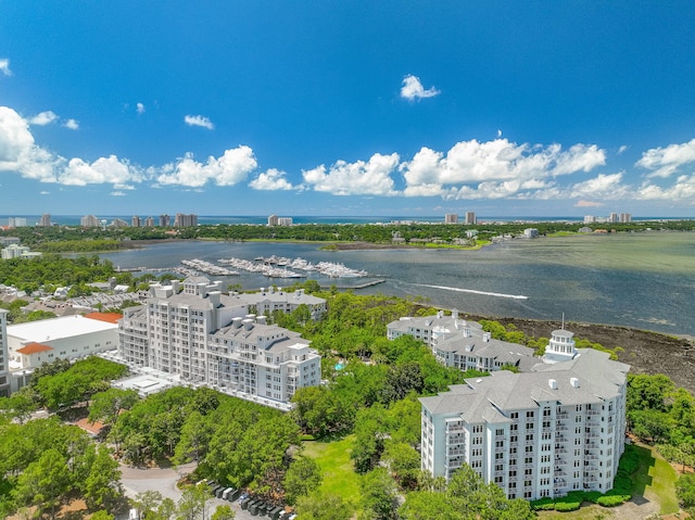 aerial view of a large body of water