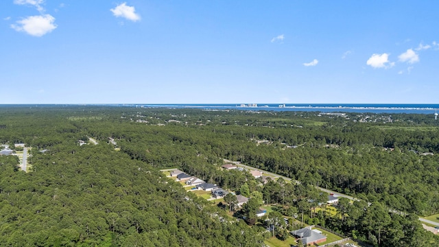 7045 Leisure St, Navarre, FL 32566 - view of property location featuring a heavily wooded area
