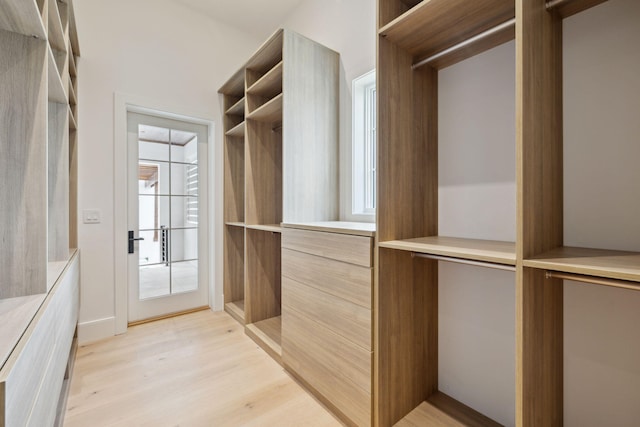 724 Windsong Dr, Inlet Beach, FL 32461 - spacious closet featuring light wood finished floors