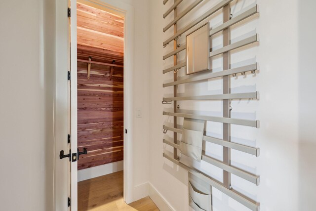 724 Windsong Dr, Inlet Beach, FL 32461 - view of closet
