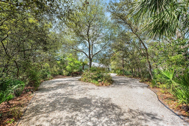 135 Bayou Point Dr, Santa Rosa Beach, FL 32459 - view of road