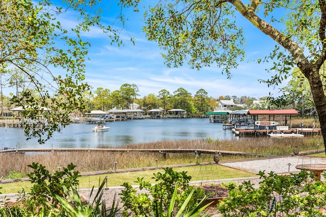 135 Bayou Point Dr, Santa Rosa Beach, FL 32459 - dock area with a water view