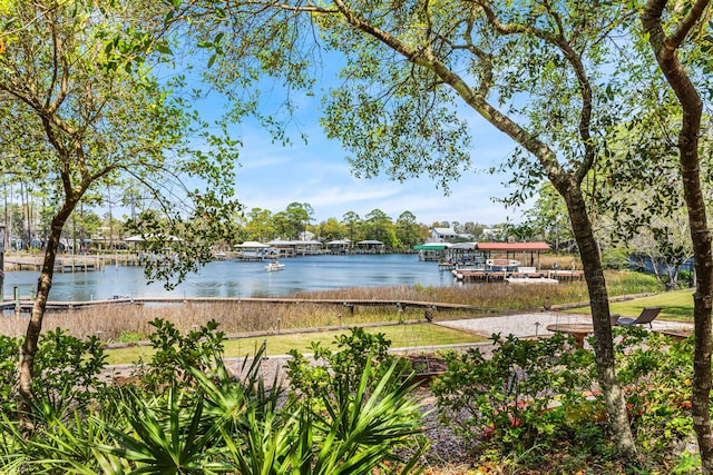 135 Bayou Point Dr, Santa Rosa Beach, FL 32459 - water view