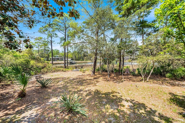 135 Bayou Point Dr, Santa Rosa Beach, FL 32459 - view of yard featuring a water view