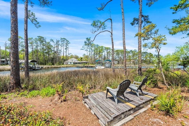 135 Bayou Point Dr, Santa Rosa Beach, FL 32459 - view of yard featuring a water view