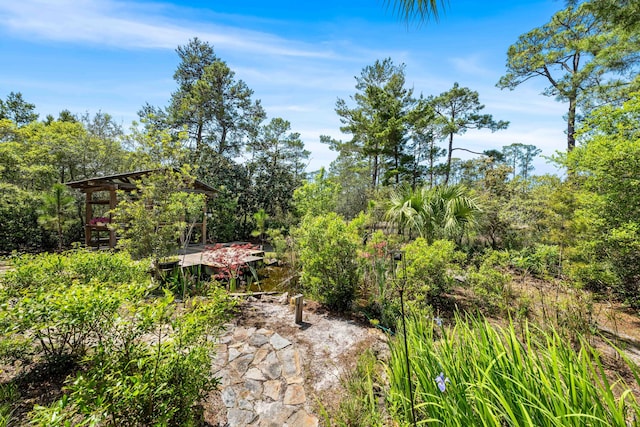 135 Bayou Point Dr, Santa Rosa Beach, FL 32459 - view of yard