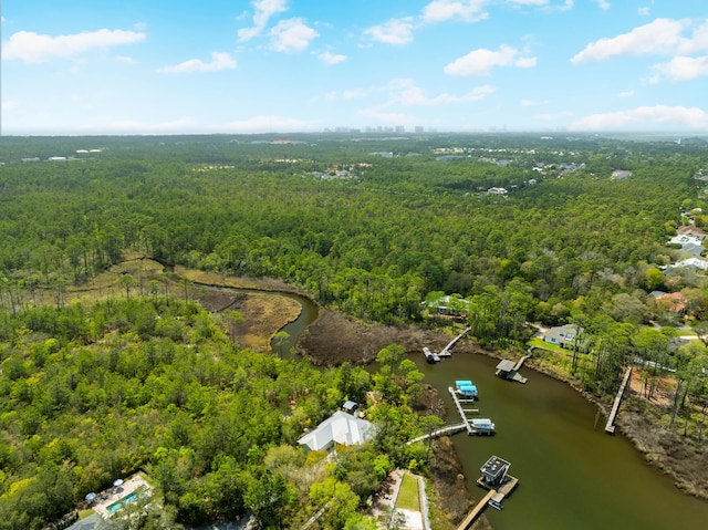 135 Bayou Point Dr, Santa Rosa Beach, FL 32459 - aerial view with a wooded view and a water view