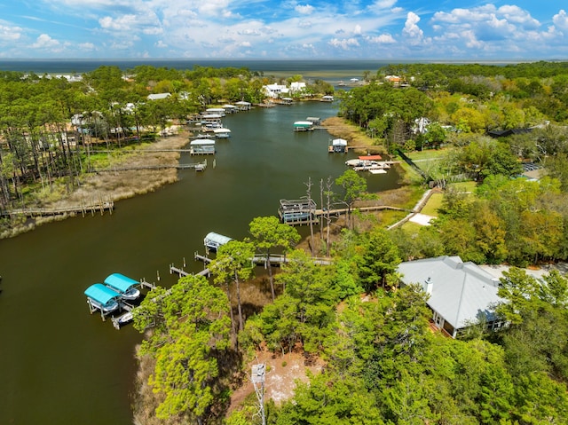 135 Bayou Point Dr, Santa Rosa Beach, FL 32459 - birds eye view of property with a water view