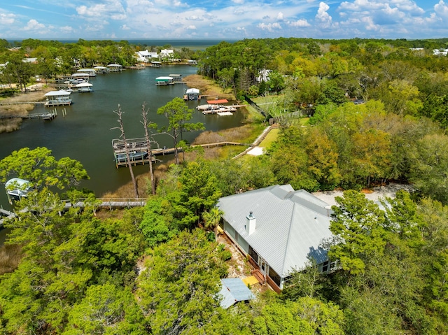 135 Bayou Point Dr, Santa Rosa Beach, FL 32459 - bird's eye view featuring a water view