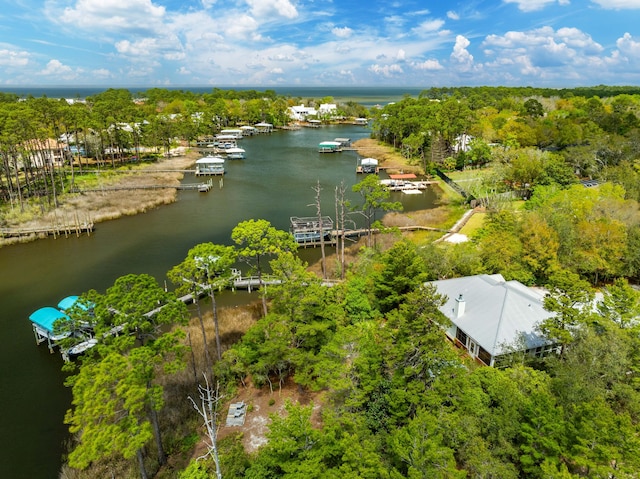 135 Bayou Point Dr, Santa Rosa Beach, FL 32459 - birds eye view of property with a water view