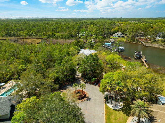 135 Bayou Point Dr, Santa Rosa Beach, FL 32459 - birds eye view of property with a view of trees and a water view