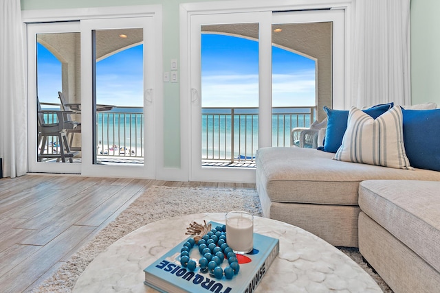 living room featuring wood finished floors and a water view