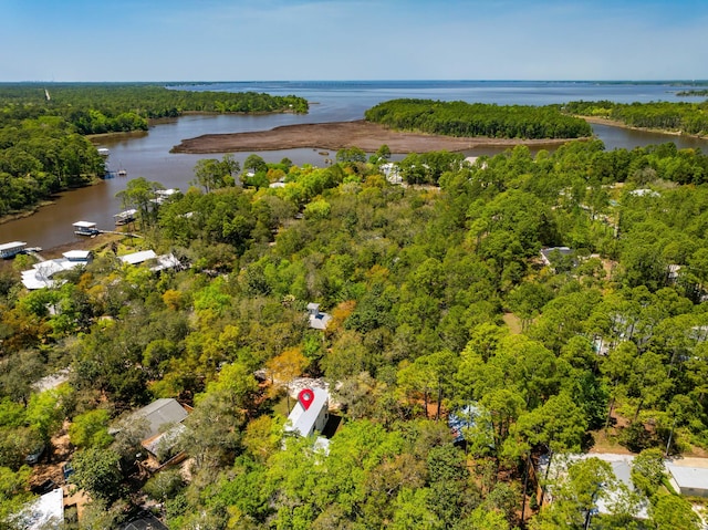 700 Eden Dr, Santa Rosa Beach, FL 32459 - photo 39