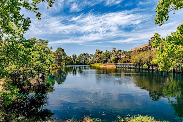 water view