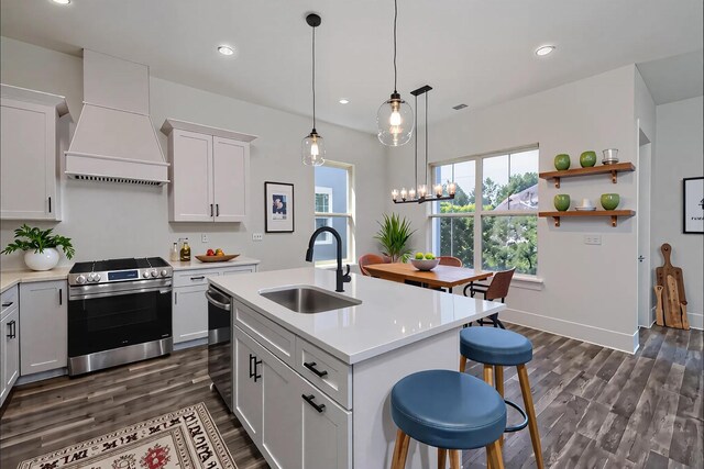 kitchen with premium range hood, a sink, stainless steel appliances, and light countertops