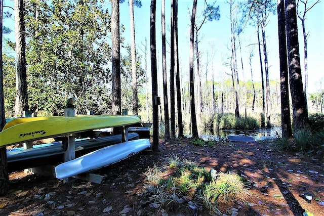 view of community