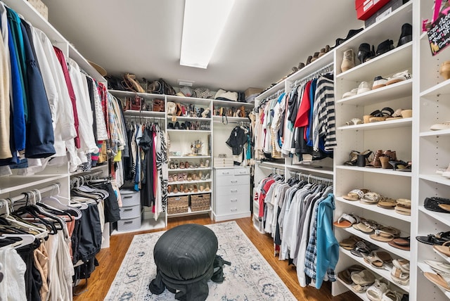 walk in closet with wood finished floors