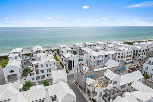 45 Sugar Loaf Aly, Alys Beach, FL 32461 - photo 46