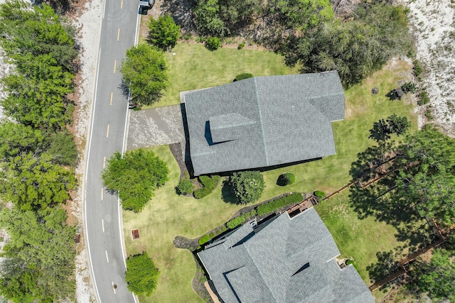 drone / aerial view