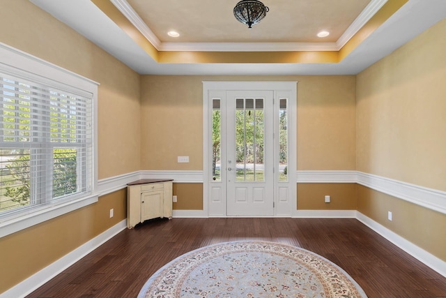 entrance foyer featuring a tray ceiling, plenty of natural light, and dark wood-style floors